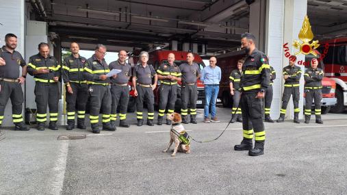 Va in pensione Foglia, il cane Vigile del fuoco di Prato