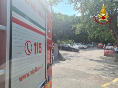 Trieste, Interventi per Bora