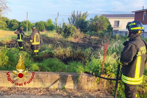 Incendio sterpaglie a Trino (VC)