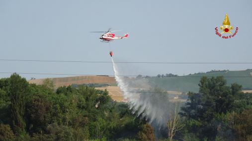 Vegetazione in fiamme a Jesi
