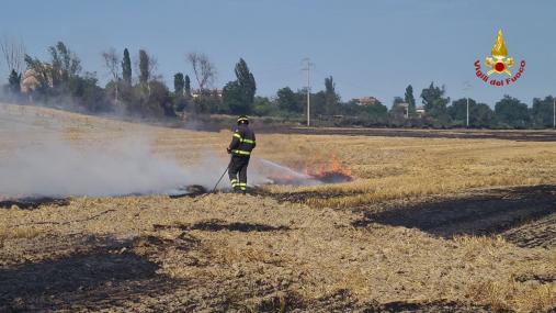 Vegetazione in fiamme a Jesi