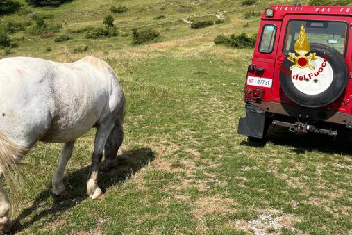 Recuperato cavallo a Montemonaco