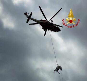 Recuperato cavallo a Montemonaco