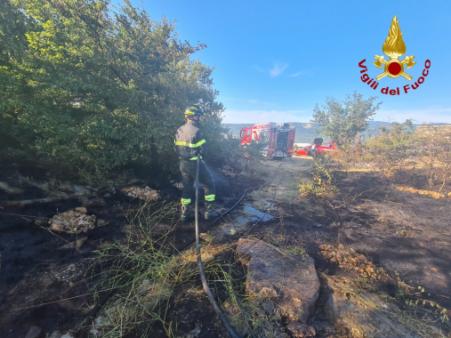 Incendio di vegetazione a San Dorligo Della Valle