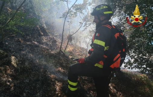 Squadre dei Vigili del fuoco al lavoro per gli incendi di vegetazione in tutta la provincia