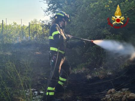 Incendio di vegetazione a San Dorligo Della Valle