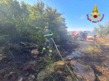 Incendio di vegetazione a San Dorligo Della Valle