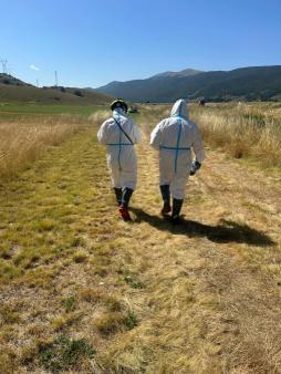 Incidente stradale a Rocca Pia. Coinvolta un'auto che trasportava sostanze radiologiche