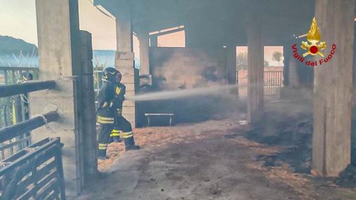 Oltre ottanta gli incendi di vegetazione nelle ultime ventiquattro ore in Sardegna