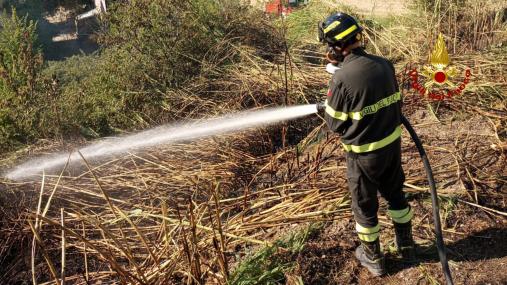 Intervento dei Vigili del fuoco nel pomeriggio per vegetazione in fiamme