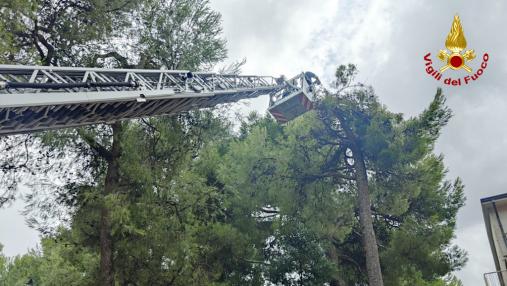 Interventi per maltermpo in Regione