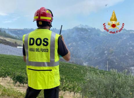 Ascoli Piceno, incendio vegetazione