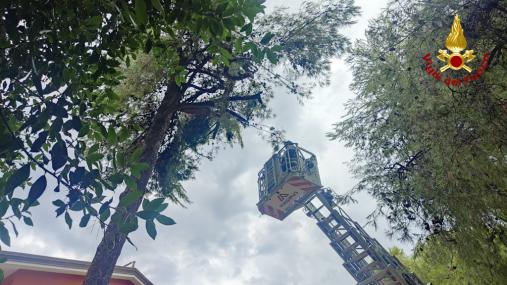 Interventi per maltermpo in Regione