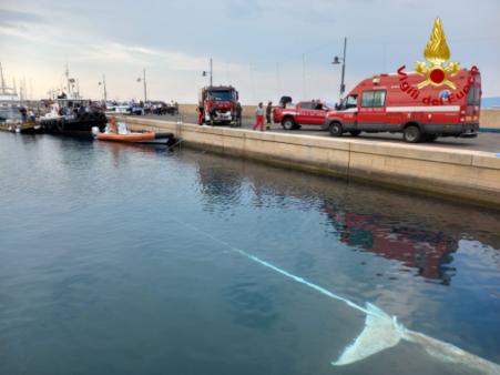 I sommozzatori dei Vigili del fuoco recuperano la carcassa di una balena