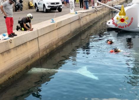 I sommozzatori dei Vigili del fuoco recuperano la carcassa di una balena