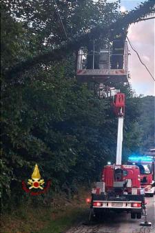 Alberi pericolanti appoggiati a cavi elettrici in Valsesia