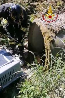 Volpe incastrata in un canale a Serravalle Sesia