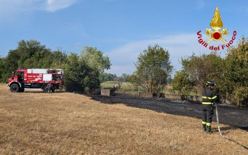 Incendio di vegetazione a Roveredo in Piano. Intervento dei Vigili del fuoco