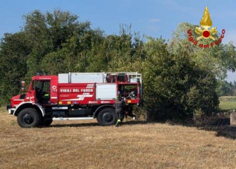 Incendio di vegetazione a Roveredo in Piano. Intervento dei Vigili del fuoco
