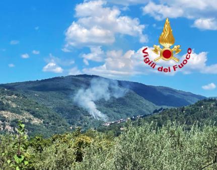 Incendio di bosco nel comune di Pelago. Vigili del fuoco a presidio delle abitazioni sulla zona