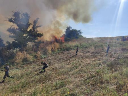 Bosco in fiamme in località Collemincio nel comune di Valfabbrica