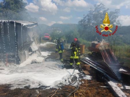 Bosco in fiamme in località Collemincio nel comune di Valfabbrica