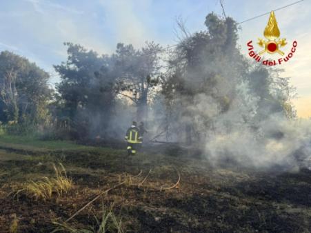 Vigili del fuoco al lavoro su due incendi vegetazione