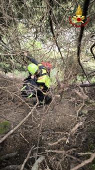 Mucca scivola in un dirupo: salvata dai Vigili del fuoco