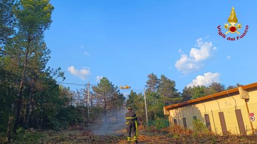 Vasto incendio vegetazione alle porte di Monfalcone