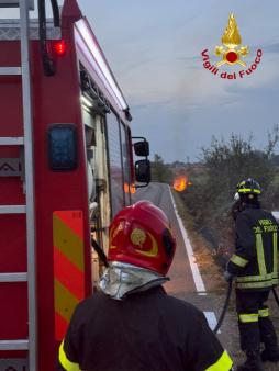 Vigili del fuoco al lavoro su due incendi vegetazione