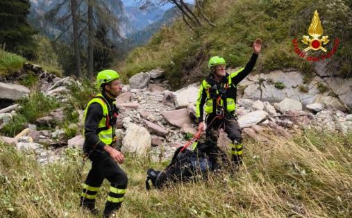 Mucca scivola in un dirupo: salvata dai Vigili del fuoco