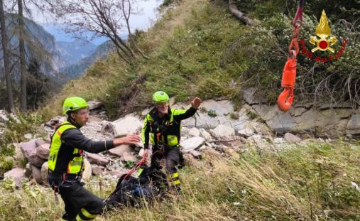 Mucca scivola in un dirupo: salvata dai Vigili del fuoco
