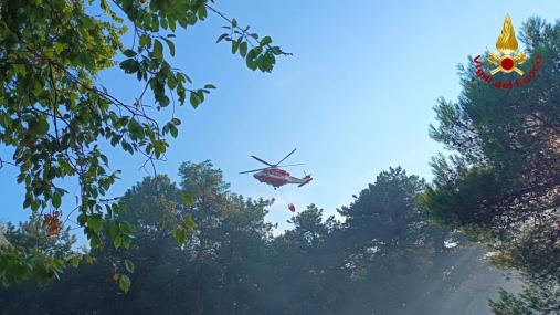 Vasto incendio vegetazione alle porte di Monfalcone