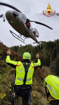 Mucca scivola in un dirupo: salvata dai Vigili del fuoco