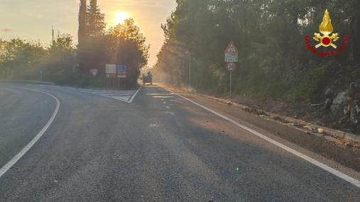 Vasto incendio vegetazione alle porte di Monfalcone