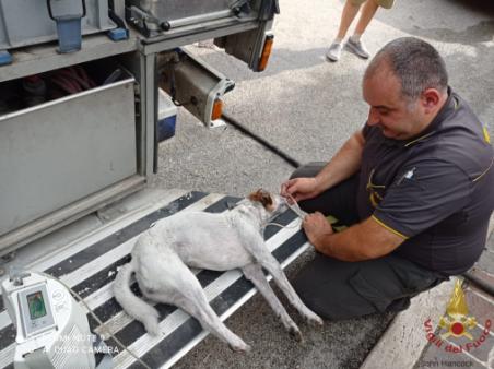 Incendio in abitazione a Treia. Salvato un cane