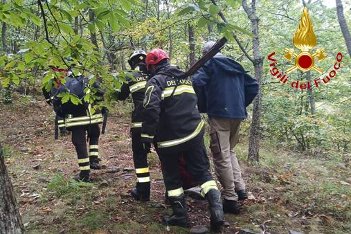 Recupero di un cane scivolato in un canalone a Sillano