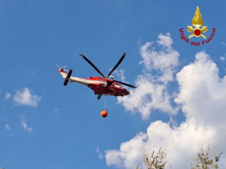 Vasto incendio vegetazione alle porte di Monfalcone