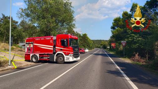 Vasto incendio vegetazione alle porte di Monfalcone