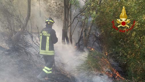 In fiamme un terreno agricolo a ridosso di alcune abitazioni