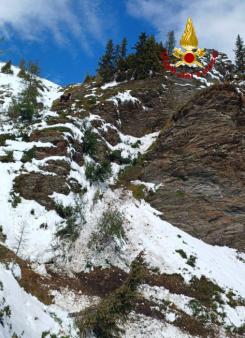 Un branco di cavalli e asini spaventati da un cane cadono in un dirupo in Val Visdende