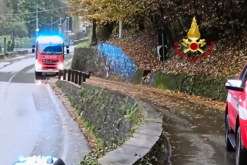 Pianta caduta su cavi del telefono ad Arboerio