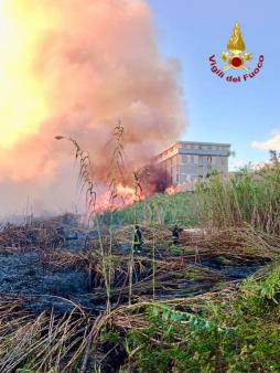 Vasto incendio di sterpaglie a ridosso del cimitero di Catania