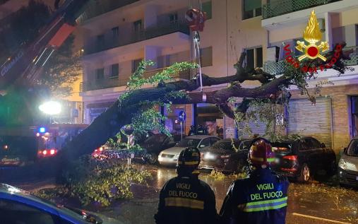 Interventi per Bora nella notte