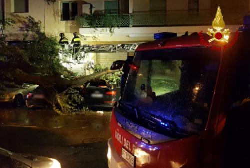 Interventi per Bora nella notte