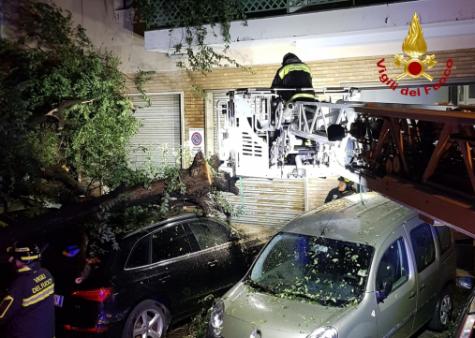 Interventi per Bora nella notte