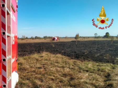 Incendio di sterpaglia a Vivaro