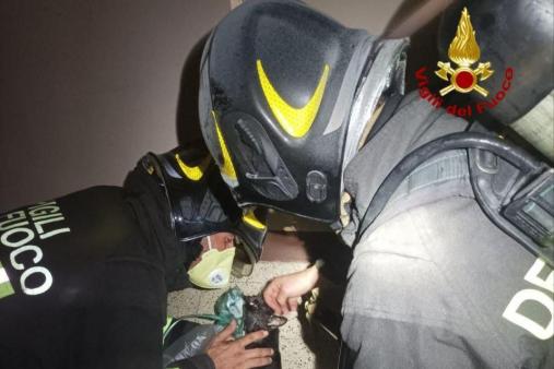 Incendio in un appartamento a Cesena