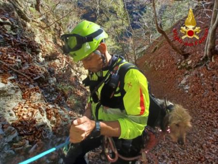 Soccorso cane a Sutrio