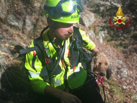 Soccorso cane a Sutrio